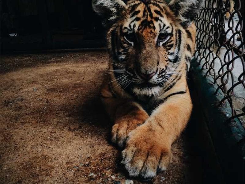 Business Owner Success Stories